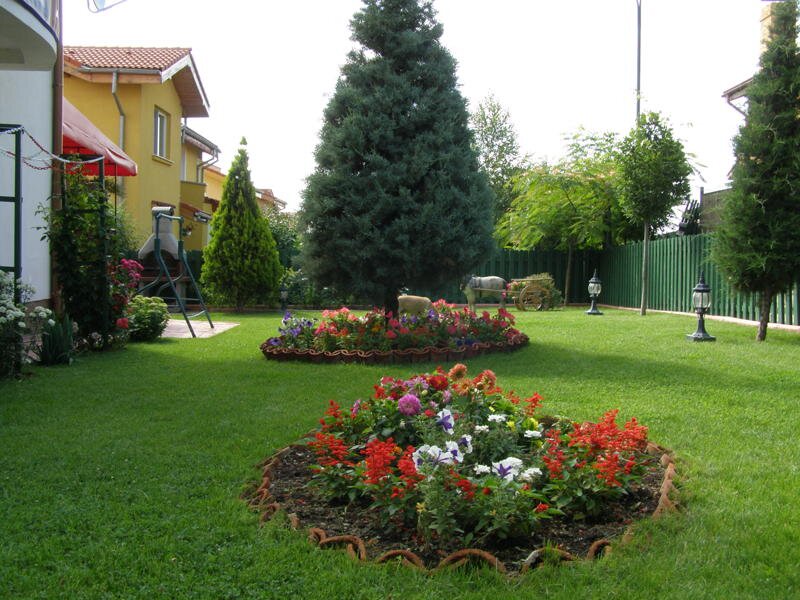 Toaletari copaci,